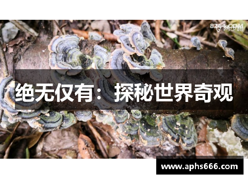 绝无仅有:探秘世界奇观